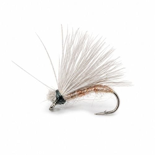 Caddis Dry Fly